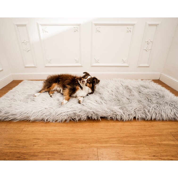 Treat a 2024 dog pup rug